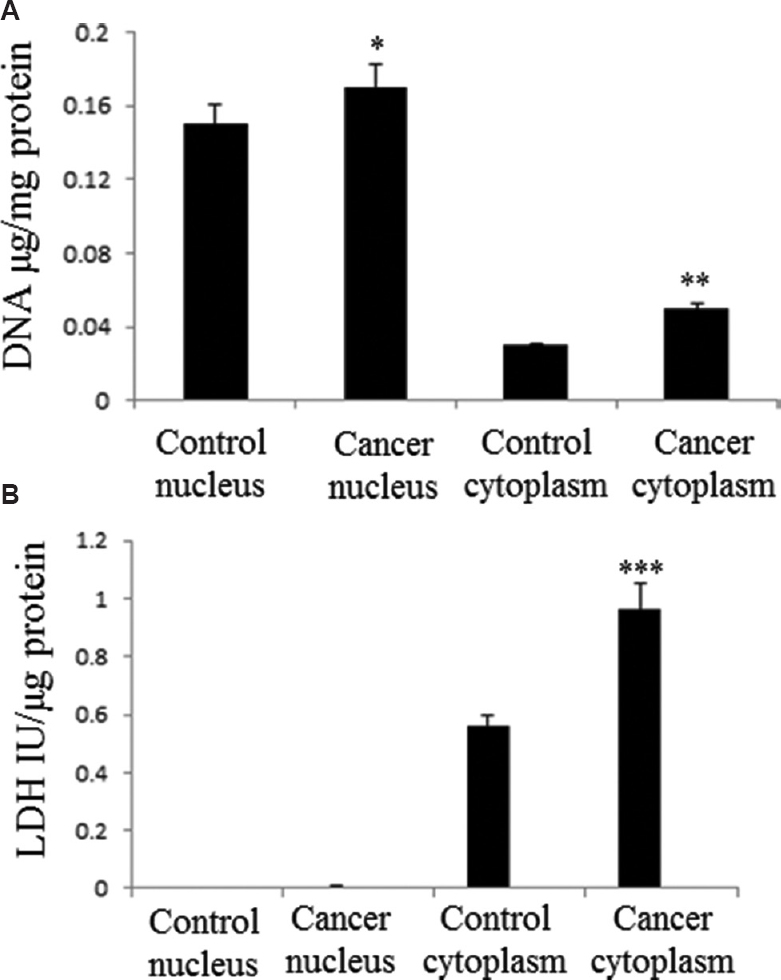 Marker assay in the isolates of ultracentrifugation. (A) DNA (nuclear marker), and (B) lactate dehydrogenase, LDH (cytosolic marker) were measured to determine the purity of the fractions. Each bar shows the mean±standard deviation of 25 samples. P*<0.05, **<0.01, ***<0.001 compared to respective control.